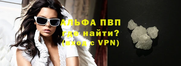 ГАЛЛЮЦИНОГЕННЫЕ ГРИБЫ Богданович