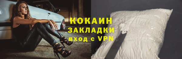 ГАЛЛЮЦИНОГЕННЫЕ ГРИБЫ Богданович