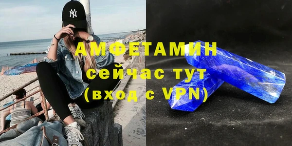 ГАЛЛЮЦИНОГЕННЫЕ ГРИБЫ Богданович