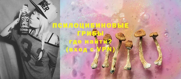 ГАЛЛЮЦИНОГЕННЫЕ ГРИБЫ Богданович