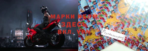 ГАЛЛЮЦИНОГЕННЫЕ ГРИБЫ Богданович
